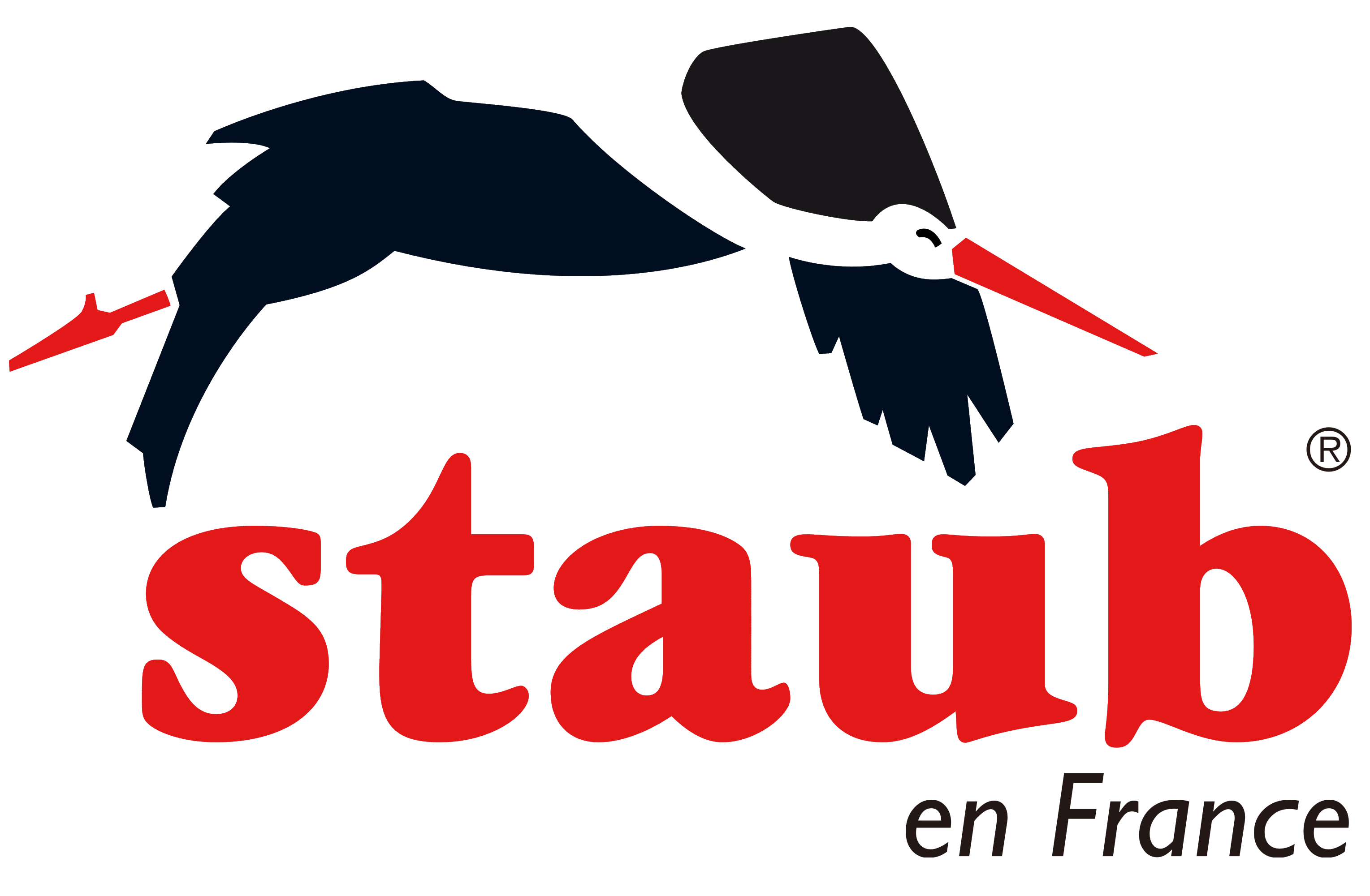 Staub