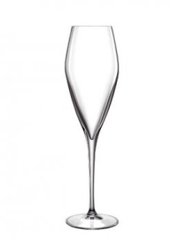 LB Atelier champagneglas Prosecco – 27 cl, klar – 25,4 cm