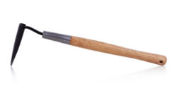 Spidshakke - Risvig Hortus